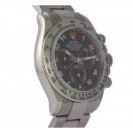  Rolex Daytona Ref. 116509