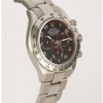  Rolex Daytona Ref. 116509