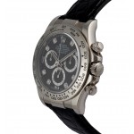  Rolex Daytona Ref. 116519