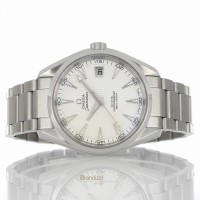 Omega Seamaster Aqua Terra Co-Axial Ref. 23110422102001