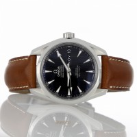 Omega Seamaster Aqua Terra Ref. 23113392201001