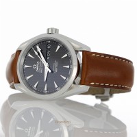 Omega Seamaster Aqua Terra Ref. 23113392201001