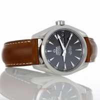 Omega Seamaster Aqua Terra Ref. 23113392201001