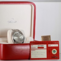 Omega Seamaster Aqua Terra Ref. 25173000