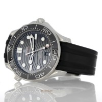 Omega Seamaster Diver 300 m Ref. 21030422001001