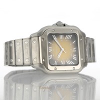 Cartier Santos Ref. WSSA0065