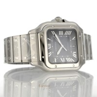 Cartier Santos Ref. WSSA0071