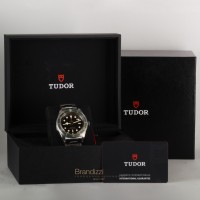 Tudor Black Bay Ref. 79230G - Stickers