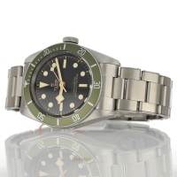 Tudor Black Bay Ref. 79230G - Stickers