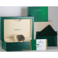 Rolex GMT Master II Ref. 116713LN